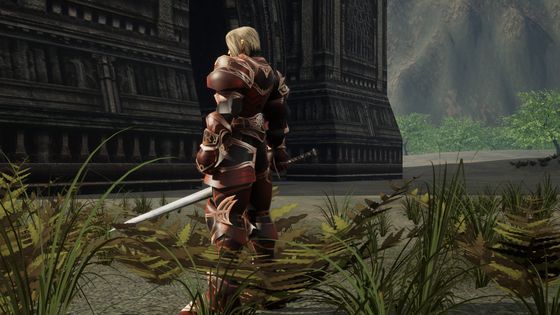 A human fighter in plate armour among ferns